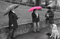 Wandertag 2012 - 005